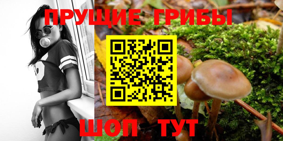 Псилоцибиновые грибы прущие грибы Каменка