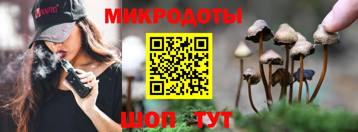 Галлюциногенные грибы GOLDEN TEACHER  Галлюциногенные грибы Psilocybine cubensis  Вход с VPN  Каменка 